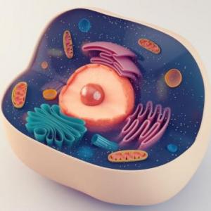 Imagen de portada del videojuego educativo: Ahorcado Síntesis de proteínas, de la temática Biología