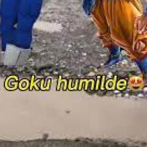 XDXDXD