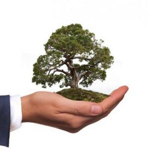 LA ETICA ECOLOGICA