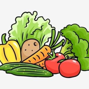 LAS VERDURAS