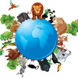 JUEGO DE OCA -Biodiversidad