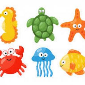 Animales Marinos