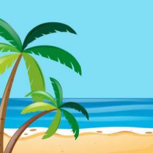 Vacation Activities