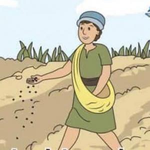 Imagen de portada del videojuego educativo: Parábola del sembrador , de la temática Religión