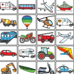MEDIOS DE TRANSPORTE