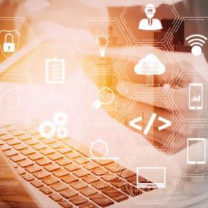INTERNET Y LAS ORGANIZACIONES