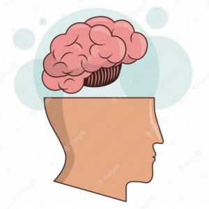 Procesamiento de información