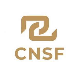 CNSF 2.0