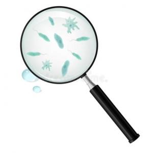 Acierta los tipos de protozoos
