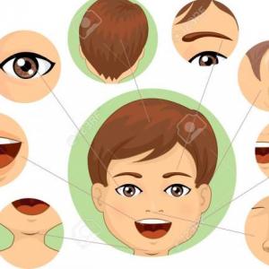 MEMOTEST CON PARTES DE LA CARA