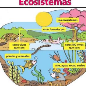 Imagen de portada del videojuego educativo: Ecosistemas, de la temática Ciencias