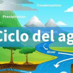 El recorrido del agua