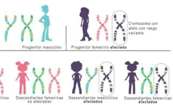Portada del juego Herencia – Biología
