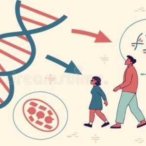 Portada del juego Herencia – Biología
