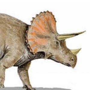 Vida de Dinosaurios