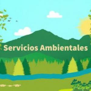 Servicios ecosistémicos