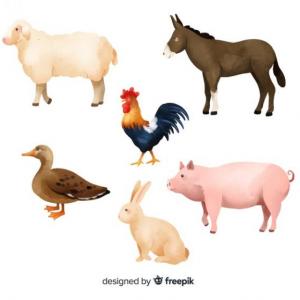 LA GRANJA DE ZENON