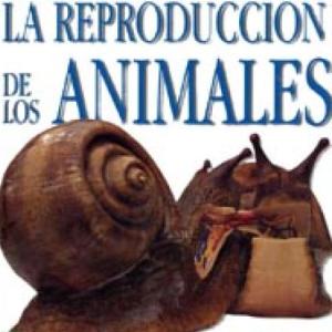REPRODUCCIÓN DE ANIMALES: SEXUAL Y ASEXUAL