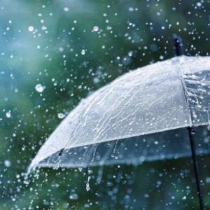 What is the weather like?