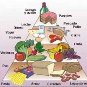 Los alimentos