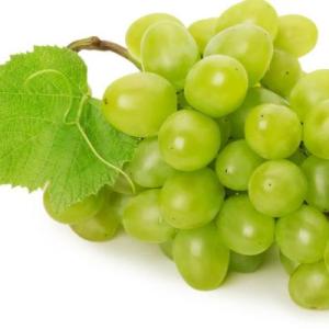 Portada del juego aprendo a leer con las frutas  4 a 5 años – Lengua