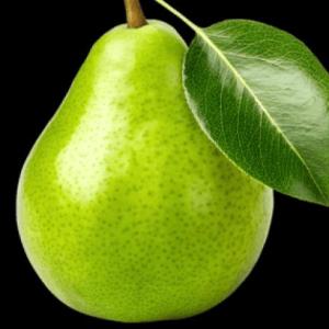 Portada del juego jugando con las frutas – Lengua