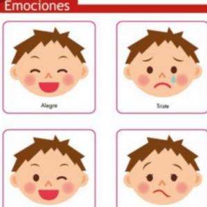 MEMO-EMOCIONES