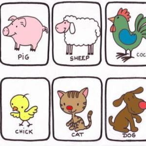 FARM ANIMALS
