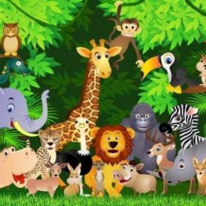 La trivia selvatica