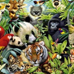 Animales