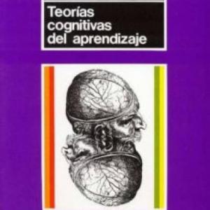 Introducción: Teorías Cognitivas del Aprendizaje