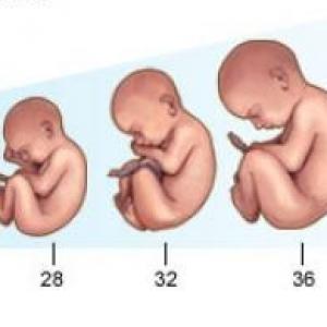 Desarrollo prenatal - Psicología del Desarrollo 