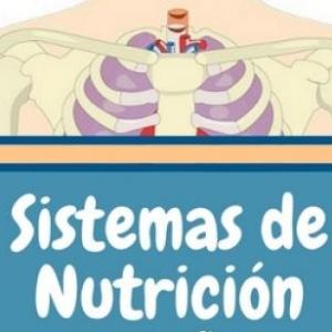 TRIVIA DE LA NUTRICIÓN