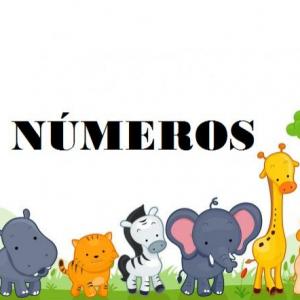 ¡Conocemos los números!
