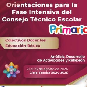 ELEMENTOS NORMATIVOS DE LA NEM