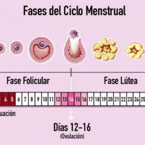 Imagen de portada del videojuego educativo: aprendo el ciclo menstrual, de la temática Biología