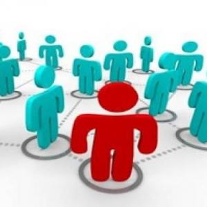 Organigrama y Manuales