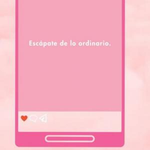 Frases