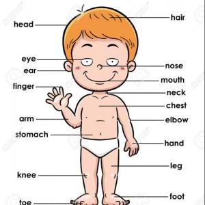 My body 