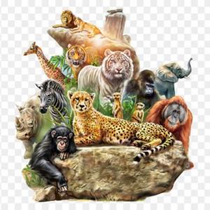 ANIMALS MEMORY