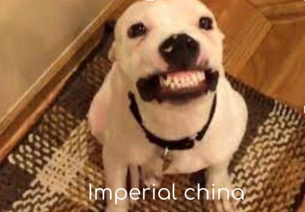 Imperial china