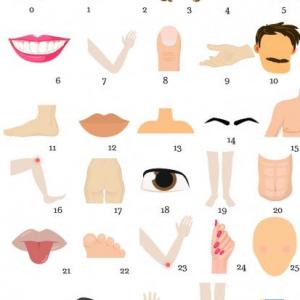 Partes del cuerpo
