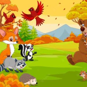 Explorando el mundo animal