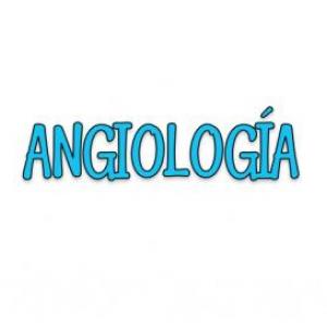 Imagen de portada del videojuego educativo: Angilogía, de la temática Salud
