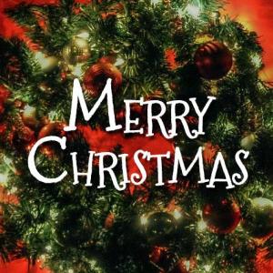 CHRISTMAS VOCABULARY