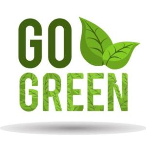 Imagen de portada del videojuego educativo: Let's go green, de la temática Idiomas