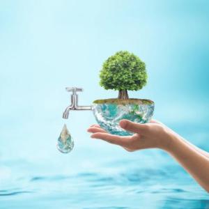 ciclo del agua
