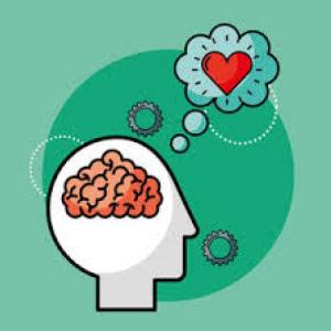 Desarrollo y plasticidad cerebral