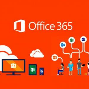 Conocimiento de office 365