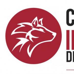 Computacion carolina
